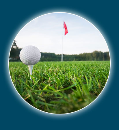 Foto con  Progrow Systems 