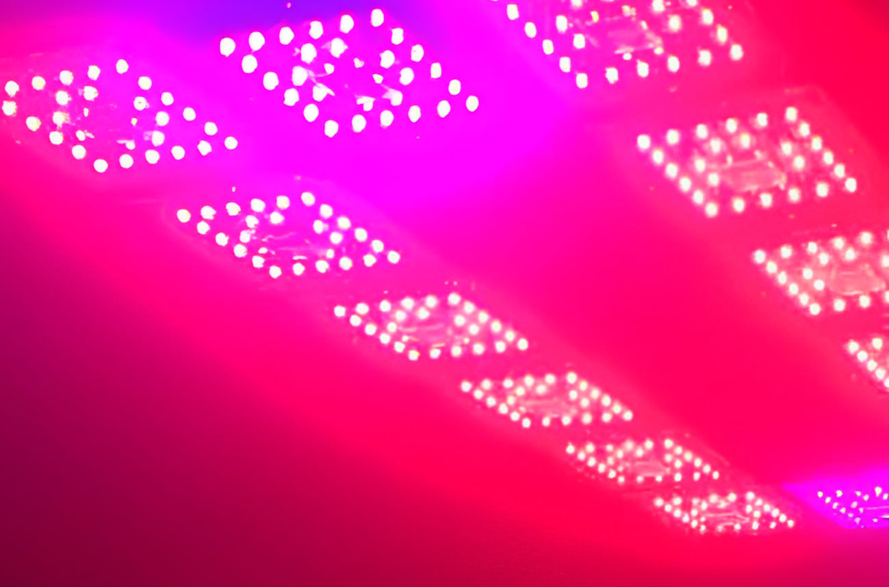 Presentacion de  Progrow Systems 